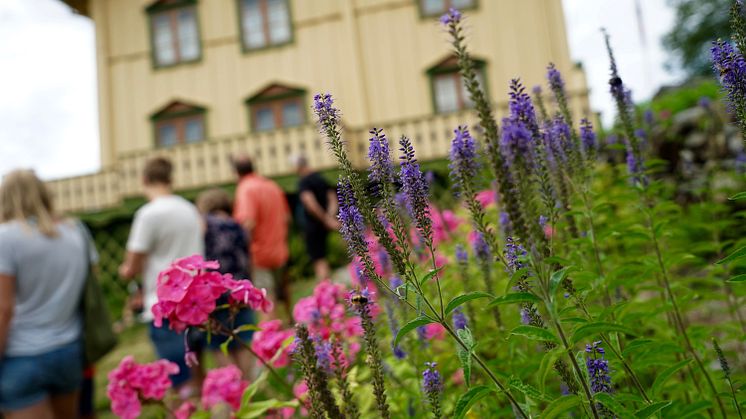 Foto: Esben Haakenstad / Aulestad