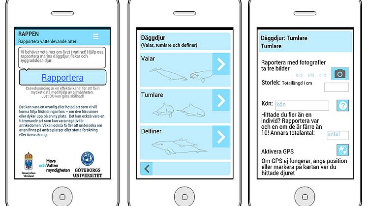 Hjälp oss hitta vattenlevande arter med Rappen