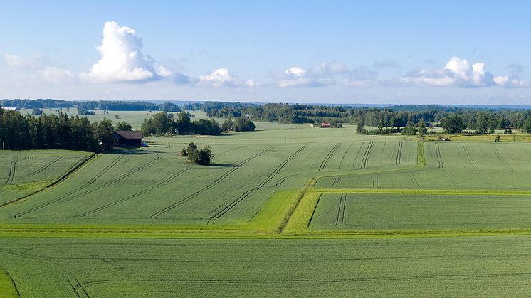 Landskap i trakten av Skävesund, Glanshammar