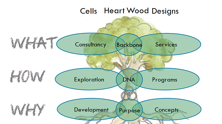 Emprogage Cells and Designs