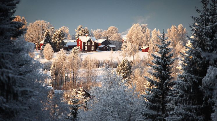 Snart är det nytt år - 8 tips till företagare