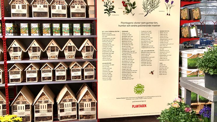 Pollinera Sveriges växtguide finns i Plantagens butiker i Sverige, Norge och Finland. Foto: Lotta Fabricius Kristiansen.