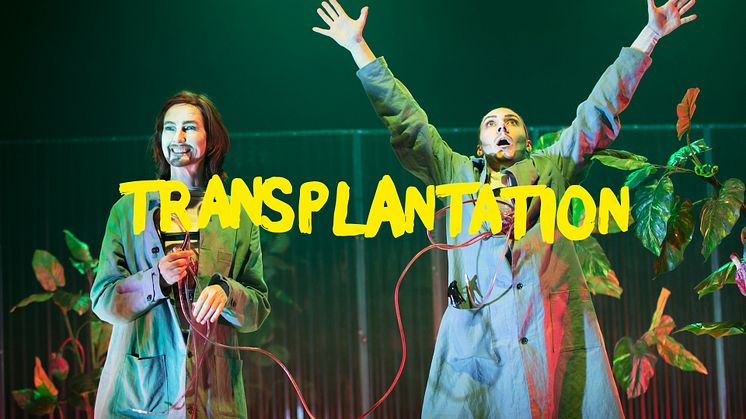 transplantation_1920x1080