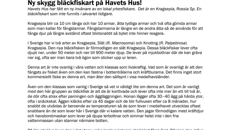 220128 Ny skygg bläckfiskart på Havets Hus.pdf