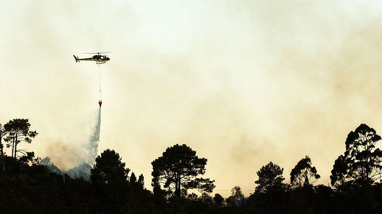 Lyssna på Riskpodden om skogsbränder
