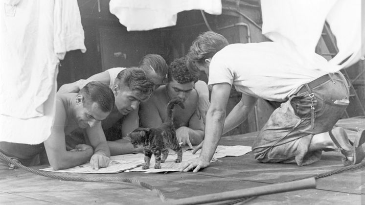 Mandskab og kat ombord S/S AVANCE 1944