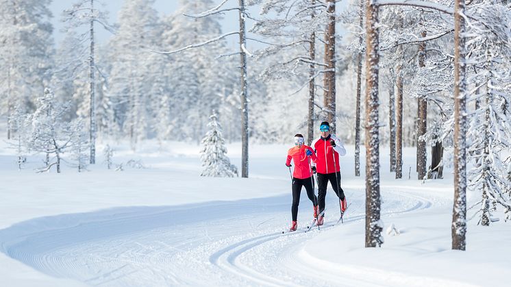 Tre snösäkra (spår)-kort för vinterns längdskidåkning