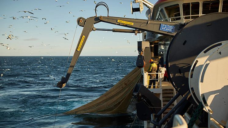 Bild på en fiskebåt. Fotograf: Danmarks Pelagiske Producentorganisation (DPPO)