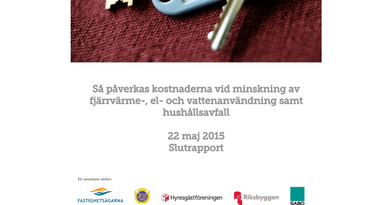 Nils Holgersson Effektiviseringsrapport 28 maj 2015