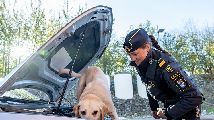 Max hittade under ett år narkotika motsvarande en samhällsnytta på över 100 miljoner kronor. Foto: André de Loisted