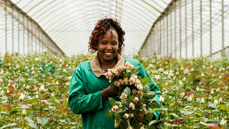 Kjøp av Fairtrade-sertifiserte blomster kan bidra positivt til kvinners rettigheter.