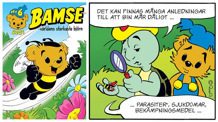 Bamse bjuder Sveriges bin på blomstermiddag