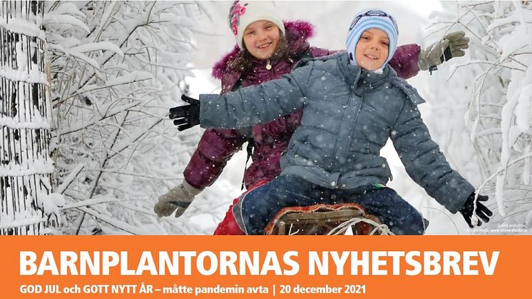 BARNPLANTORNAS NYHETSBREV God Jul och Gott Nytt År