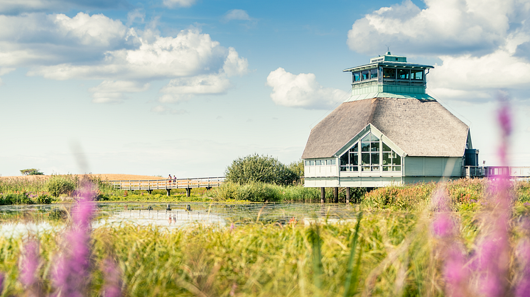 Hornborgasjön, Västergötland Fotograf: Lukasz Warzecha