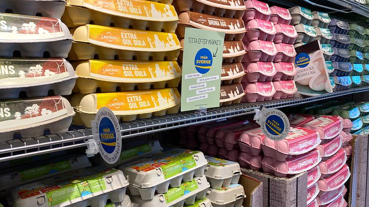 Från Sverige besökte äggpackeriet hos DAVA Foods, en livsmedelskoncern som har ett brett utbud av äggprodukter och skalägg under varumärket Lantägg.