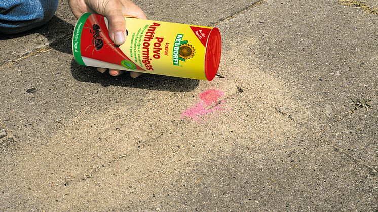 Las plagas de hormigas en la casa, caminos, terrazas y otros espacios se pueden controlar con rapidez con Loxiran®Polvo Antihormigas de Neudorff. 