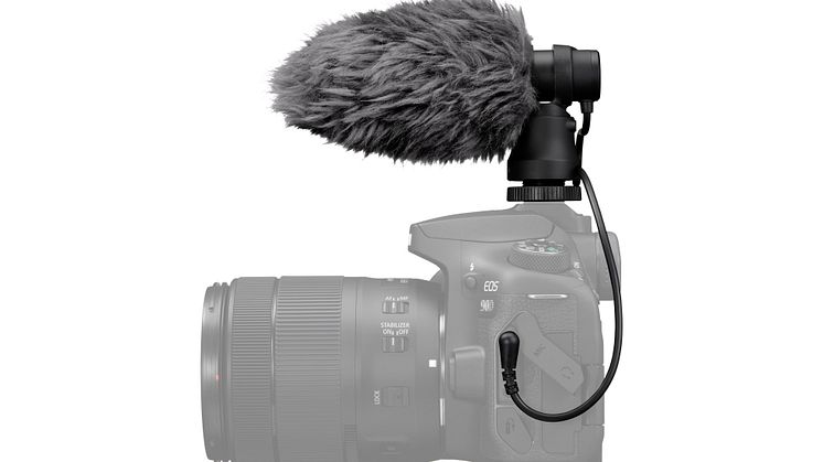 Canon-stereomikrofonen DM-E100