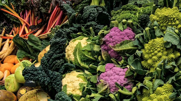 Cruciferous Vegetables’ Weight Loss Benefits