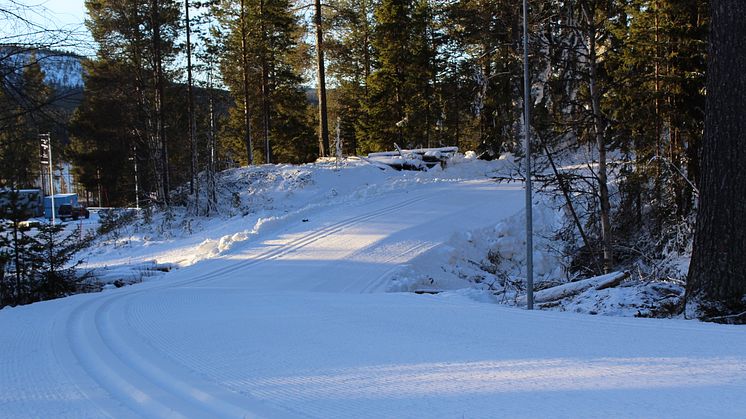 Lofsdalens konstsnöspår