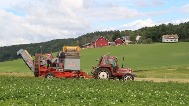 Inntektene stuper i jordbruket