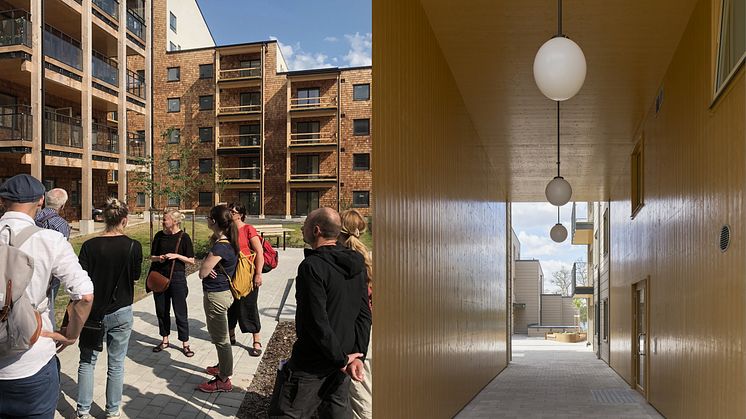 Två av Arkitektbolagets projekt, fr v Vallen och Strandsnäckan, är nominerade till Växjö kommuns nya Träbyggnadspris. 