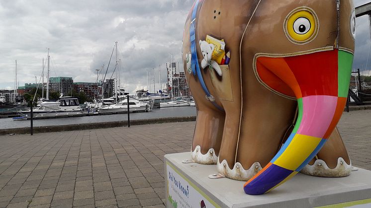 Fred. Olsen Cruise Lines’ guests, staff and crew raise over £20,000 for Ipswich’s St Elizabeth Hospice, as auction closes ‘Elmer’s Big Parade Suffolk’