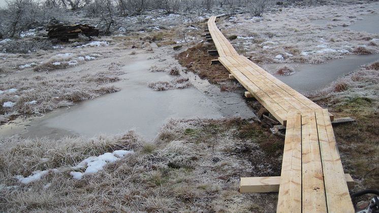 Fulufjällets nationalpark fortsätter locka nya besökare