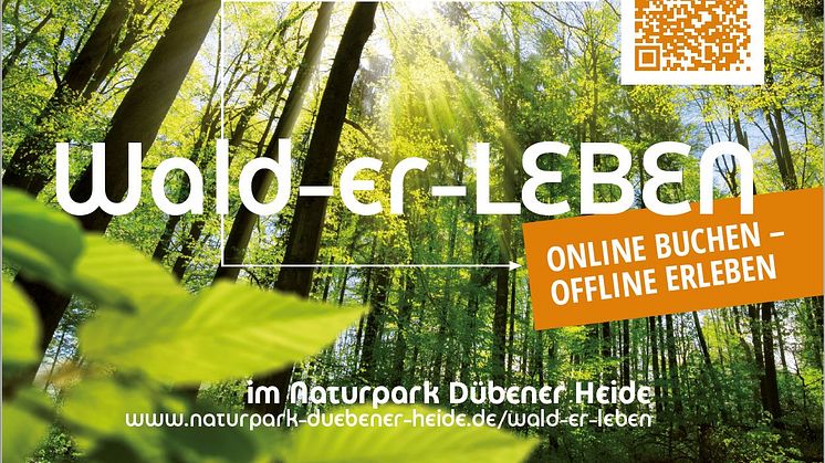 Der Naturpark Dübener Heide bietet viele Veranstaltungshighlights für Wander- und Naturfans - Foto: Iris Herrmann/neuland+