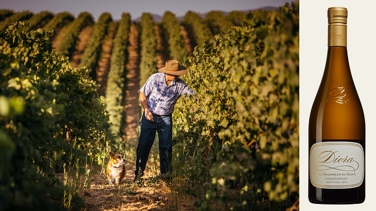 Vinmakare James Ewart övervakar vingården San Bernabe i Monterey