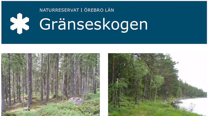 Naturreservatet Gränseskogen gränsar till Lilla Sörsjön i norra Lindesbergs kommun
