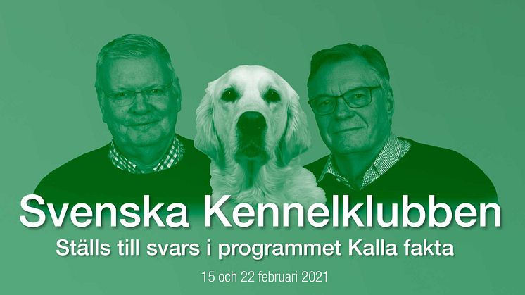 Pekka Olson och Ulf Uddman intervjuas i TV4-programmet Kalla fakta