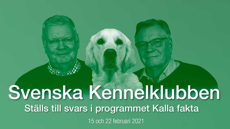 Kommentarer till Kalla faktas program Hundklubben