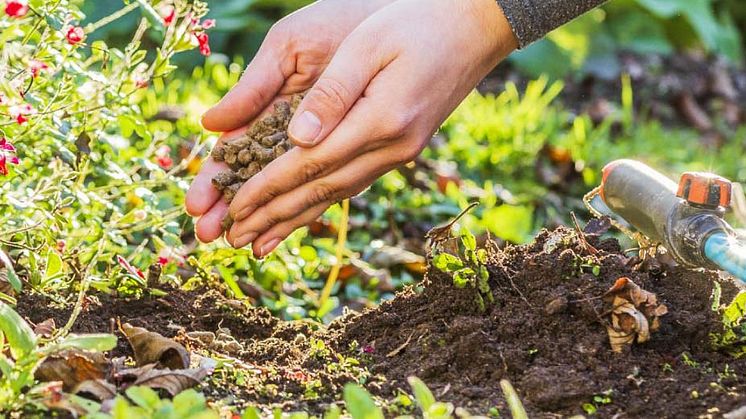 Biodünger mit Langzeitwirkung schafft bessere Erträge