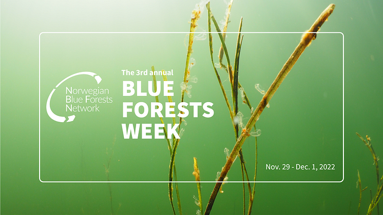 The Norwegian Blue Forests Network will hold its annual Blue Forests Week from Tuesday, November 29th to Thursday, December 1st
