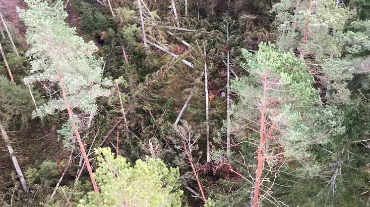 Lägesrapport stormarna Gorm och Helga, söndag kväll