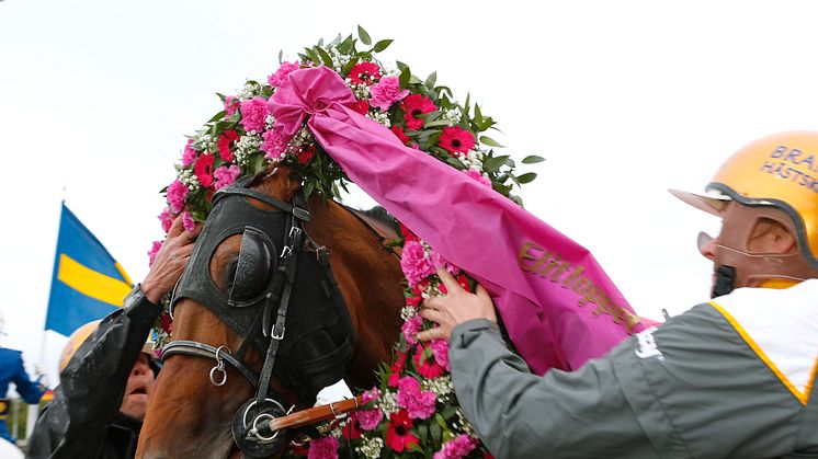 Elitloppet direktsänds i TV4 klockan 20.00