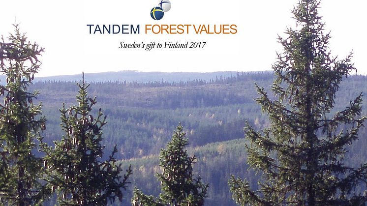 First call for Tandem Forest Values applications is launched on Finland's 100 year anniversary. Photo: Ylva Nordin.