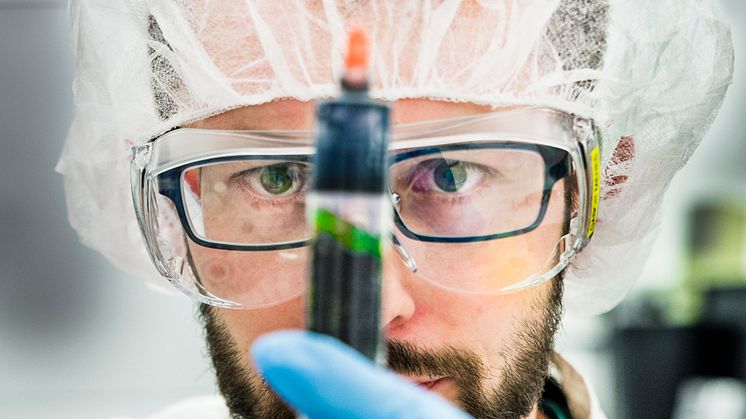 Gábor Méhes, Laboratoriet för organisk elektronik