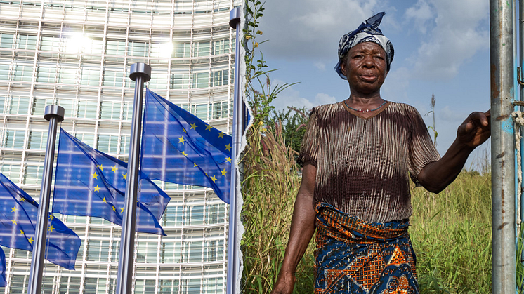 EU-flaggor / Akisneem, risodlare i Ghana. Foto: Canva / Nana Kofi Acquah