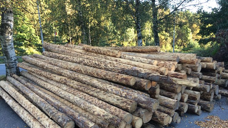 Stockarna som blir rättvisepaviljong i Bergsjön          foto: Emilio Brandao