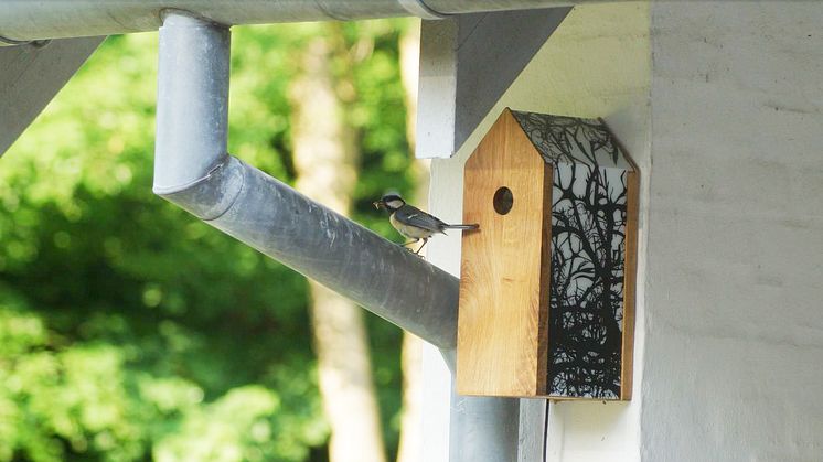 Fågelholken bör hängas upp i närheten av hemmet för att få WiFi-täckning 