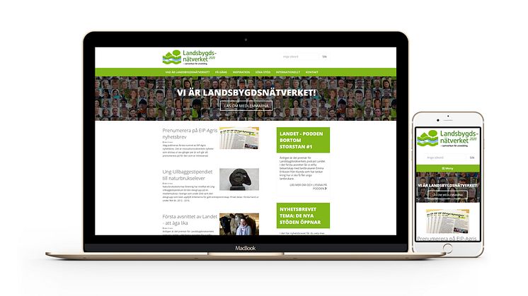 De byggde Landsbygdnätsverkets nya webb