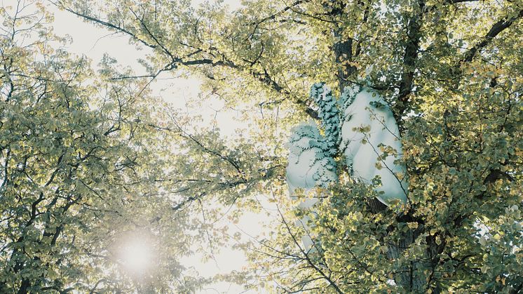 Trädens hemliga värld i Folkets Park är en äventyrsvandring visualiserar några av trädens många funktioner. Foto: Pierre Ekman 