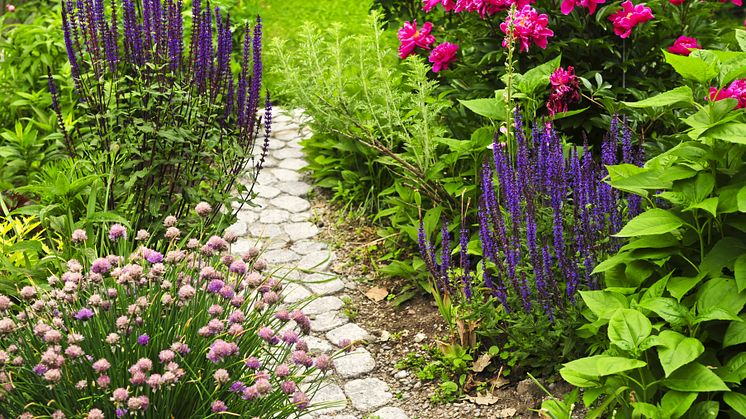 38 underbara trädgårdar att besöka i Sveriges Trädgård, Blekinge