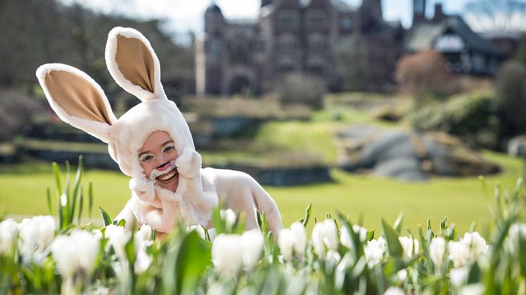 Påskeharen på besøk på Tjolöholm Slott i Halland. Foto: Will Rose 