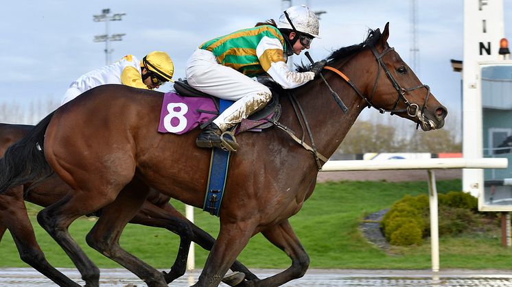 Johnnybegood vinner på Jägersro 2017