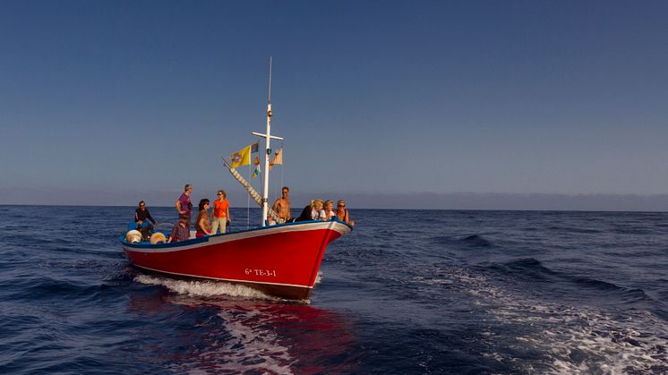 Valskådning med de "blå båtarna" är en semesterupplevelse som tar hänsyn till djur och natur. Foto: The Canary Islands Tourism.