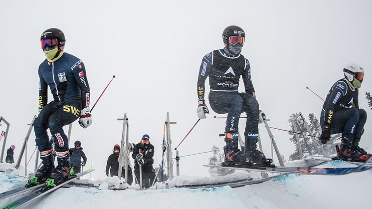 Erik och David Mobärg, Elliott Baralo och Fredrik Nilsson tävlar i Veysonnaz. Foto: Simon Broberg/Ski Team Sweden Skicross