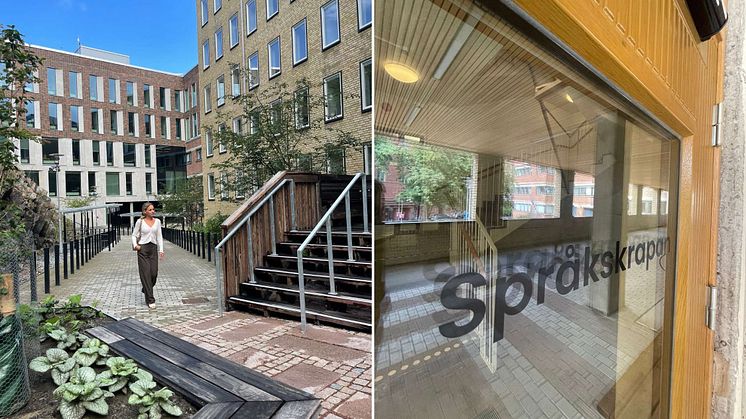 Tysk kvalitet till småländskt pris – Steinel RS PRO LED Serie P