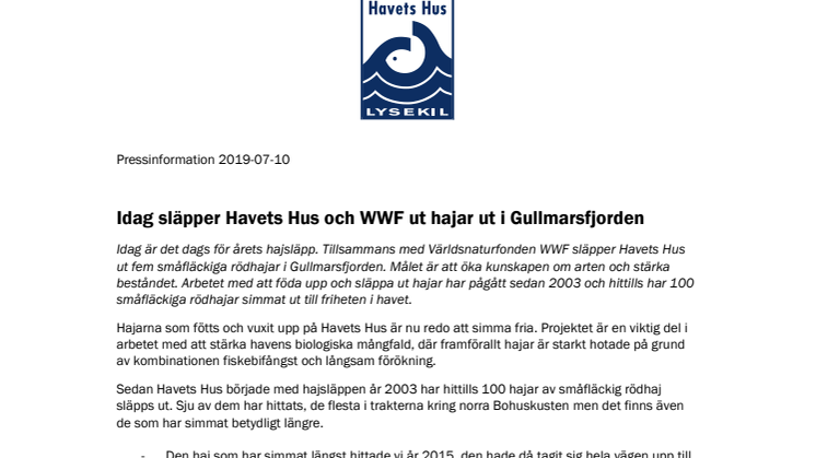 Idag släpper Havets Hus och WWF ut hajar ut i Gullmarsfjorden
